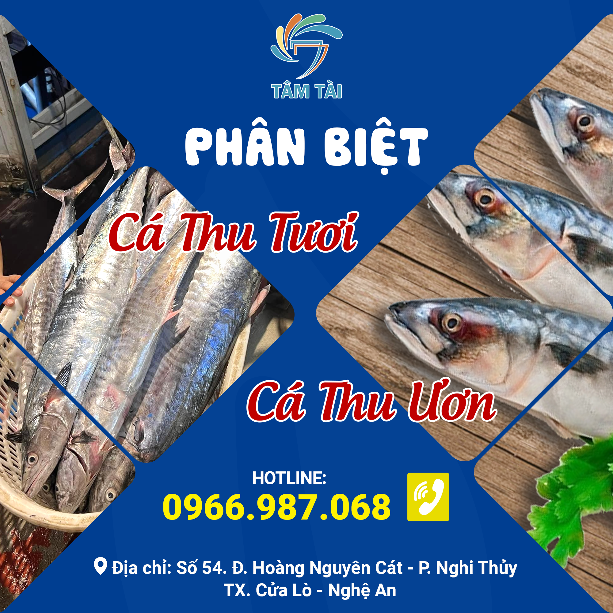 cá thu lưới rê