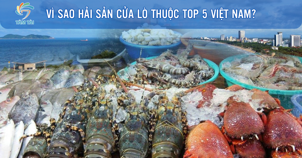 vì sao hải sản cửa lò thuộc top 5 việt nam